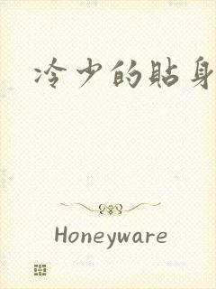 冷少的贴身女人