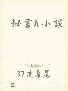 秘书h小说