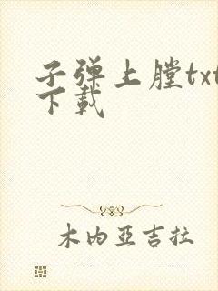 子弹上膛txt下载