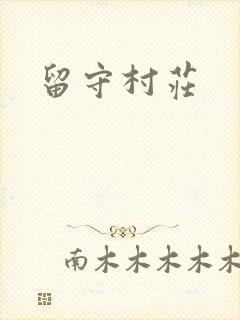 留守村庄