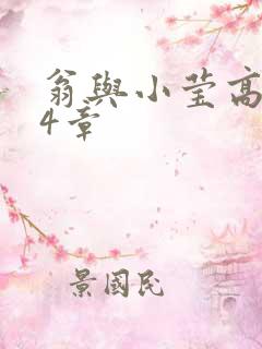 翁与小莹高潮24章