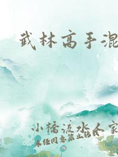 武林高手混都市