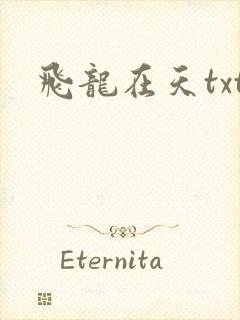 飞龙在天txt