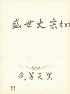 盛世大宋txt