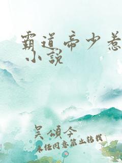 霸道帝少惹不得 小说