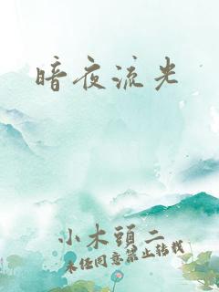暗夜流光