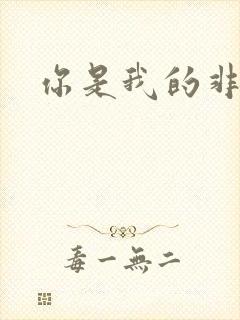 你是我的非卖品