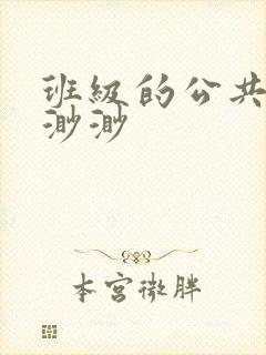 班级的公共玩具渺渺