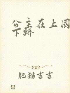 公主在上国师请下轿