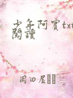少年阿宾txt阅读