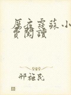 厉夜霆苏小汐免费阅读