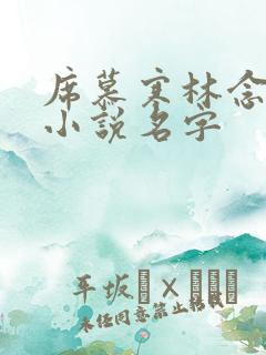 席慕寒林念儿的小说名字