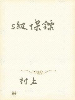 s级保镖