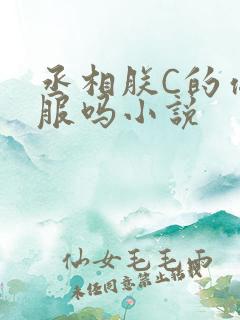 丞相朕C的你舒服吗小说