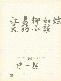 江易柳如烟秦少天的小说