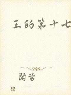 王的第十七妾