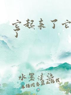 它起来了它想你了