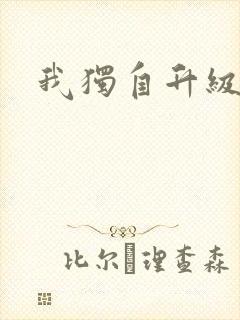 我独自升级小说