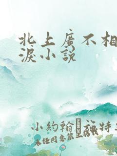 北上广不相信眼泪小说