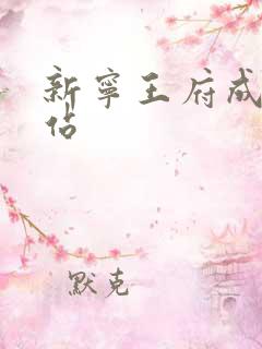 新宁王府成人网站