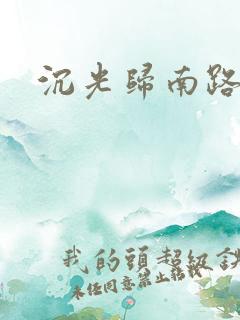 沉光归南路