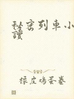 秘密列车小说阅读