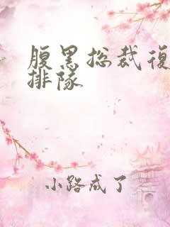 腹黑总裁复婚请排队