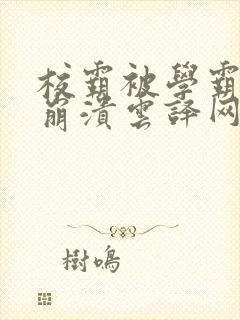 校霸被学霸玩到崩溃云译网