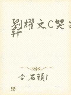 刘耀文C哭宋亚轩