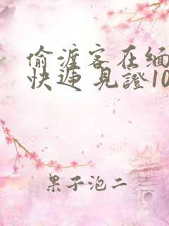 偷渡客在缅北送快递 见证100种逃亡