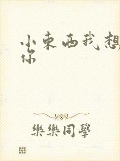 小东西我想弄坏你