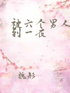 被六个男人躁J到一夜