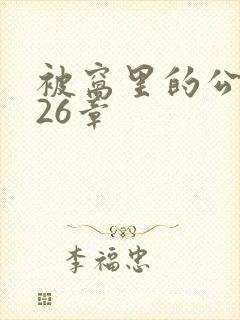 被窝里的公憩第26章