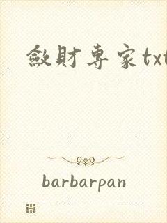 敛财专家txt