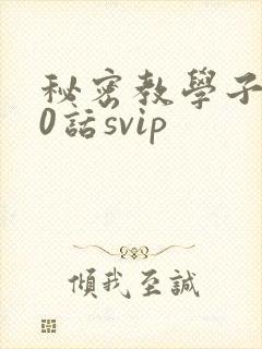 秘密教学子豪60话svip