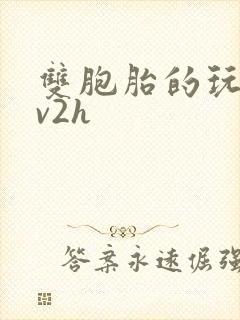 双胞胎的玩具1v2h