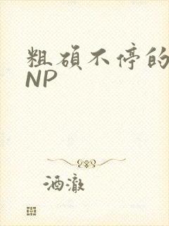 粗硕不停的进出NP
