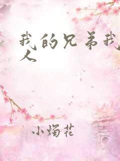 我的兄弟我的爱人