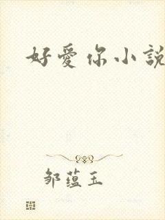 好爱你小说