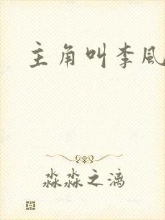 主角叫李风起