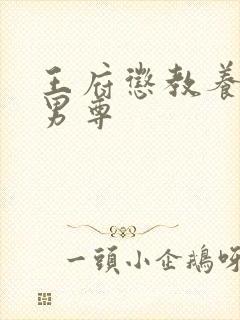 王府惩教养日常男尊