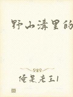 野山沟里的村庄