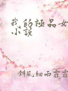 我的极品女老师小说