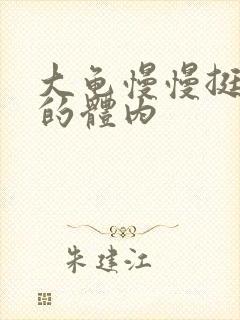 大龟慢慢挺进我的体内