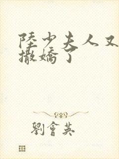 陆少夫人又双叒撒娇了