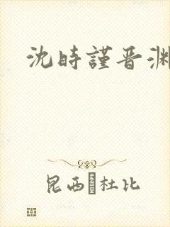 沈时谨晋渊小说