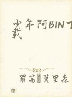 少年阿BIN下载