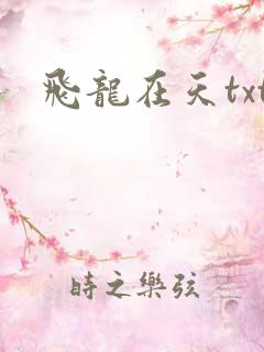 飞龙在天txt