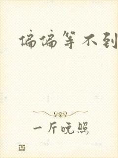 偏偏等不到小说