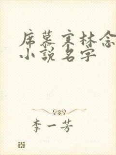 席慕寒林念儿的小说名字